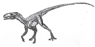 Pseudolagosuchus major..JPG