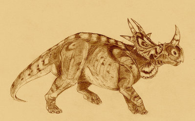 autor: Jakub Kowalski