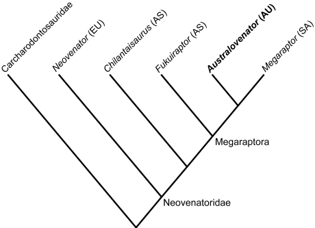 Novas i in. 2013 Carnosauria II.PNG