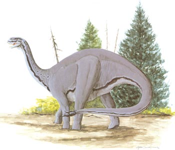 Shunosaurus.jpg