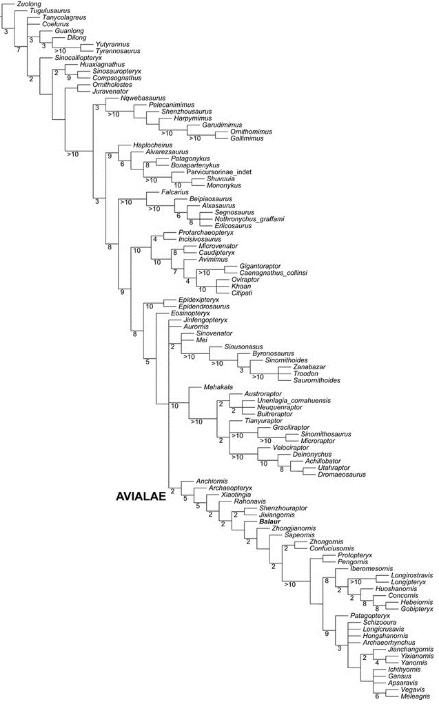 Cau et al. 2015 Balaur Lee.jpg