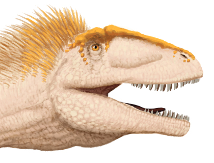 Plik:Shaochilong leb.jpg