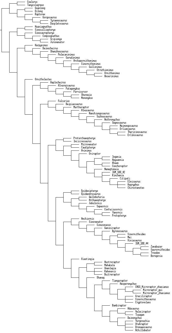 Senter etal 2012 Martharaptor tnt.png