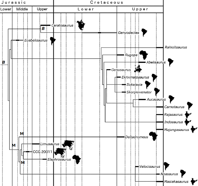 Rauhut i Carrano 2016 Elaphro.PNG