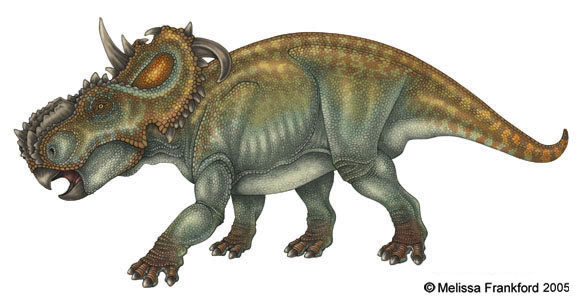 Plik:Pachyrhinosaurus by mmfrankford.jpg