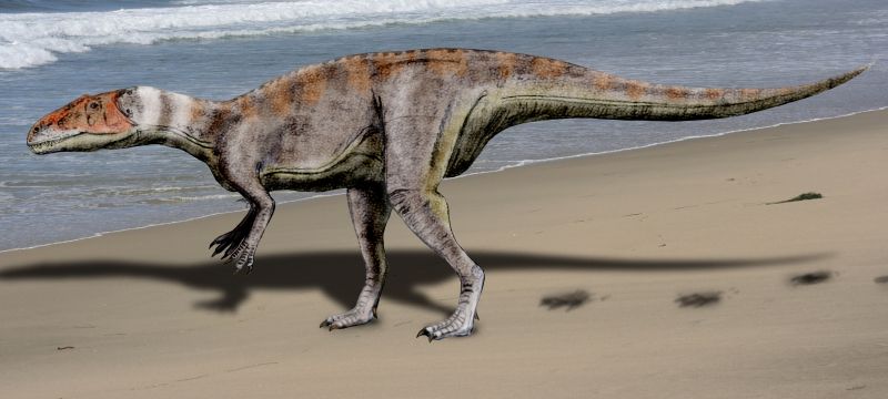 Plik:Dubreuillosaurus Nobu Tamura.jpg