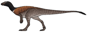 Enigmacursor mollyborthwickae.png