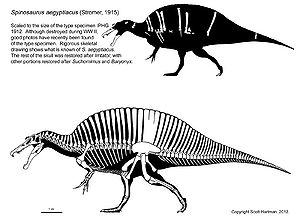 Spinosaurus1.jpg