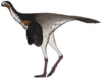 Yuanyanglong bainian.png