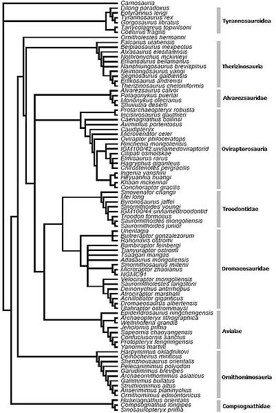 Plik:Zheng i in., 2010.jpg