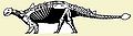 Ankylosauria.jpg