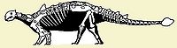 Ankylosauria.jpg