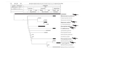 Evans et al 2013.png