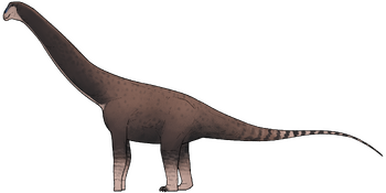 Petrustitan hungaricus.png