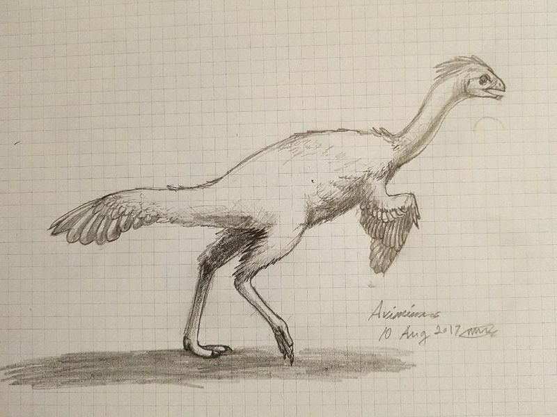 Plik:Avimimus by makergreen.jpg