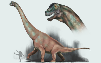 Austrosaurus McKillopi.png