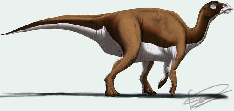 Plik:Shantungosaurus Edyta Felcyn.PNG