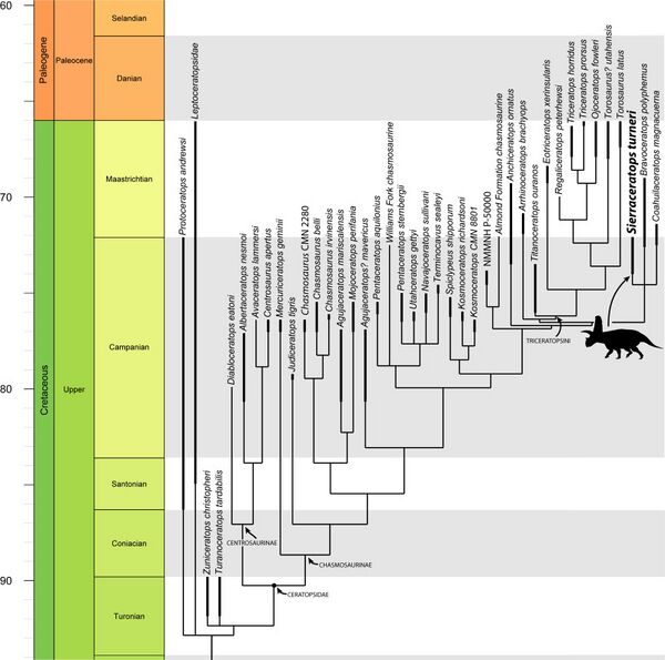 Dalman i in., 2022a.jpg