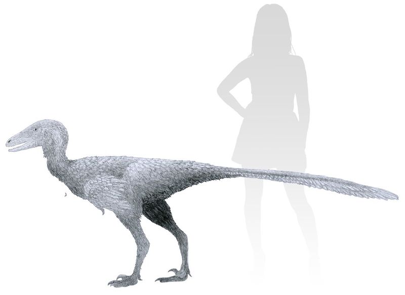 Plik:Wounding tooth by tomozaurus-d9bdf34.png.jpg