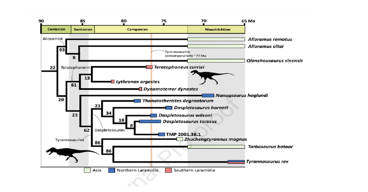 Tyrannosaurinae Scherer et al 2023.png