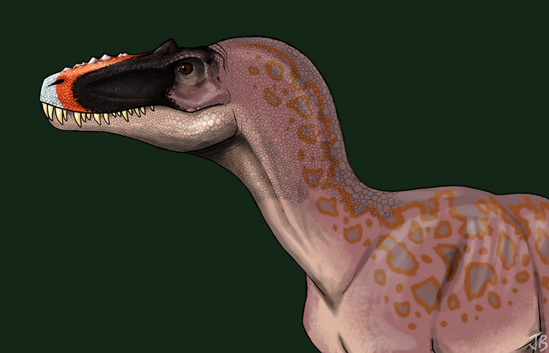 Plik:Alioramus by eccogeek.png