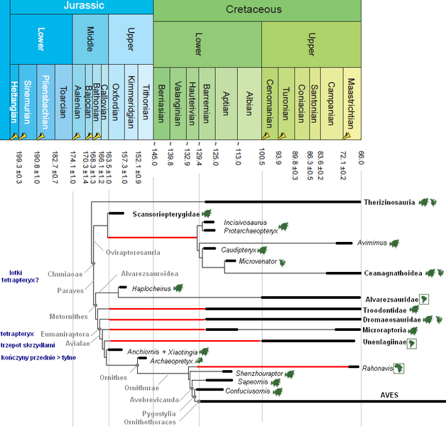 Plik:Agnolin i Novas 2013 stratygrafia.PNG