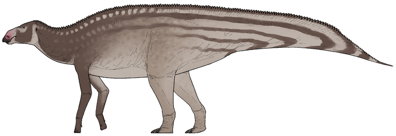 Plik:Gongshuilong fanwei.png