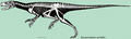 Sanjuansaurus Alcober i Martinez 2011.PNG