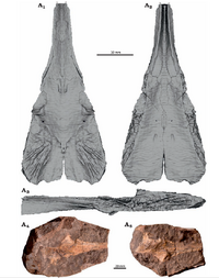 Trematozauryd z Stryczowic.png