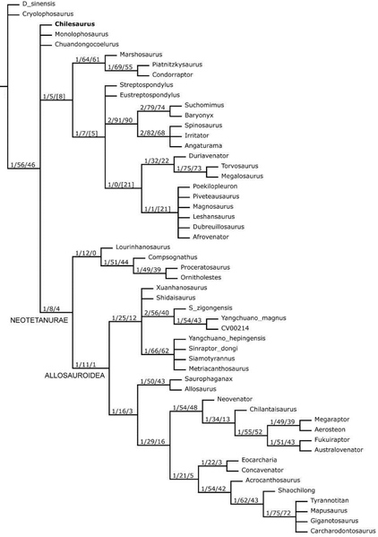 Plik:Novas i in. 2015 Chilesaurus Carrano.PNG