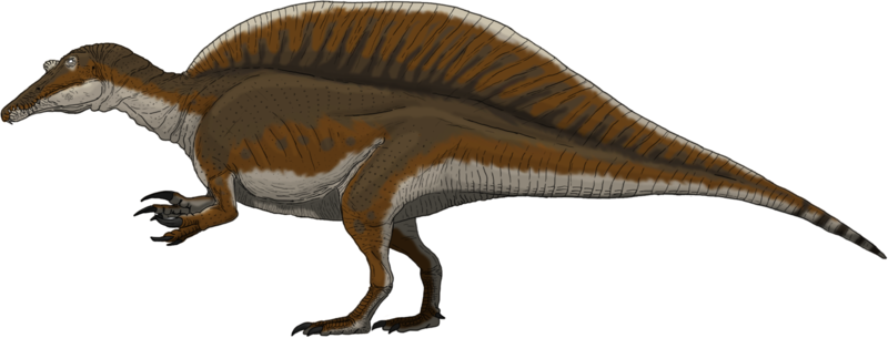 Plik:Spinosaurus by tomozaurus.png