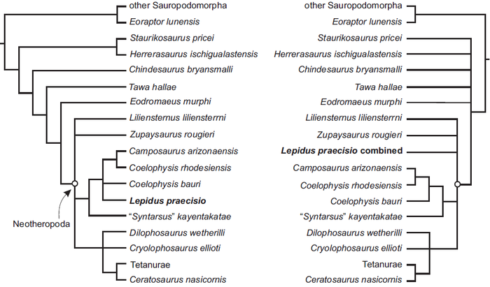 Nesbitt i Ezcurra, 2015 Lepidus.png