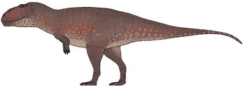 Tameryraptor markgrafi.png
