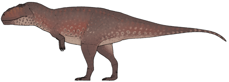 Plik:Tameryraptor markgrafi.png