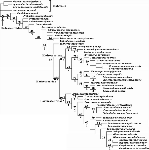 Plik:Xing i in. 2012 Wulagasaurus.PNG