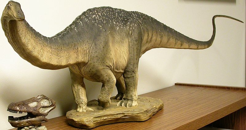 Plik:Apatosaurus-Sideshow Collectibles, M.Wedel.jpg