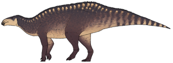 Istiorachis macarthurae.png