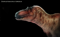 Daspletosaurus torosus 2.png