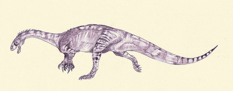 Plik:Seitaad by Kahless28.jpg