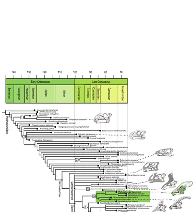Hadrosauridae Ramírez-Velasco et al 2021.png