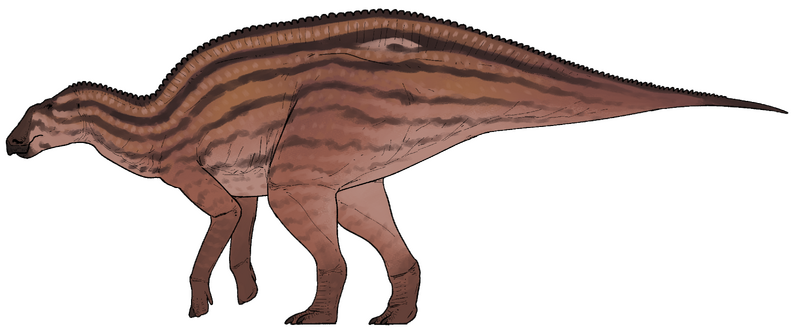 Plik:Ahshislesaurus wimani.png