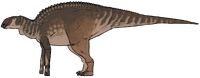 Probrachylophosaurus bergei.png