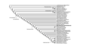 Bonsor et al 2023.png