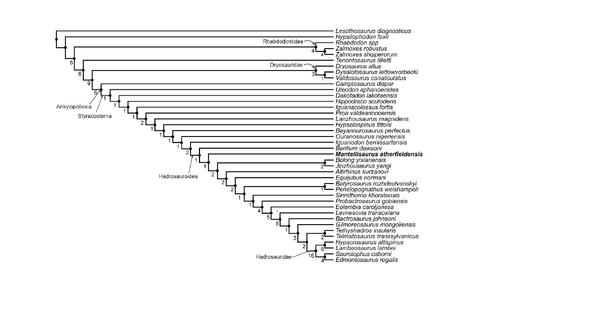 Bonsor et al 2023.png