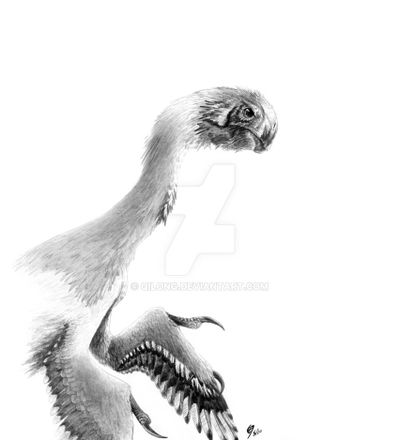 Proud conch by qilong.jpg