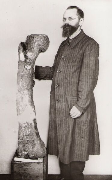 Plik:Ernst Stromer.jpg