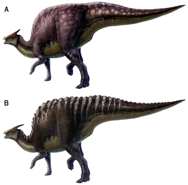 Plik:Saurolophus.png