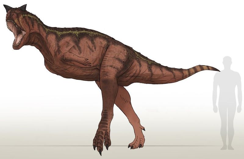 Plik:Carnotaurus sastrei by camusaltamirano.jpg