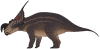 Einiosaurus procurvicornis.png