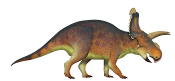 Albertaceratops TD.png